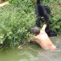 Girtam vyrui bandymas pažaisti su beždžionėmis baigėsi ligonine