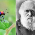 Po 160 metų tyrimas patvirtino Čarlzo Darvino spėjimą – prieš vėją nepapūsi