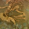 1000 m. senumo kape Peru archeologai rado paaukotų šunų ir jūrų kiaulyčių kaulus