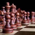 Europos šachmatų pirmenybes Bulgarijoje Š.Šulskis baigė pergale