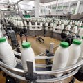 Dėl smukusio pelno pieno bendrovė kaltina vandenį