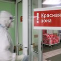 В России случайно рассекретили масштабы эпидемии ковида: данные в пять раз выше официальных