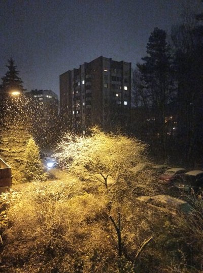 Pirmasis sniegas Vilniuje