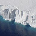 Kol visų akys stebi COVID-19, neįprastas reiškinys siaubia Antarktidą