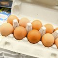 Protrūkis Klaipėdos darželyje: salmoneliozės sukėlėjų rasta kiaušiniuose ir mėsoje