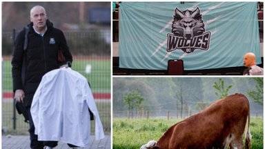 „Wolves“ finale regėjęs Kurtinaitis: aš niekada nesidžiaugiu, jeigu kaimyno karvė nudvėsė