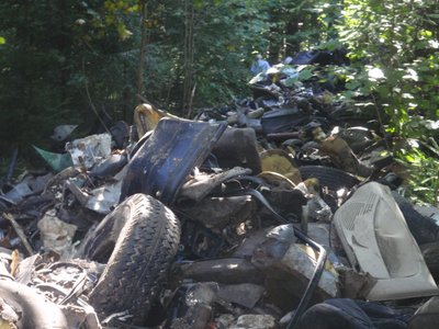 Automobilių ardymo atliekos miške (Eksploatuoti netinkamų transporto priemonių tvarkytojų asociacijos nuotr.) 