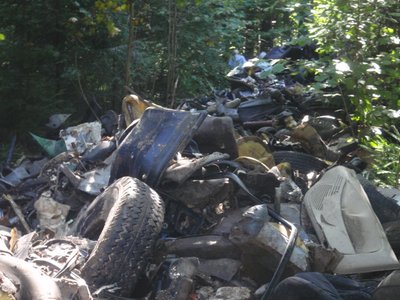 Automobilių ardymo atliekos miške (Eksploatuoti netinkamų transporto priemonių tvarkytojų asociacijos nuotr.)