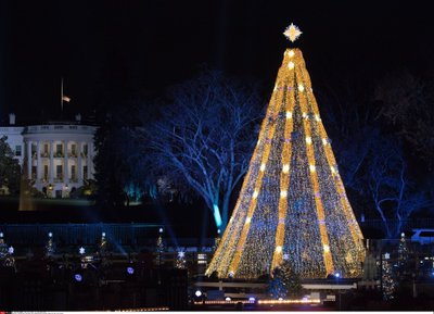Kalėdų eglutė Vašingtone, Amerika
