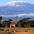 Tūkstantmečio vėliava Kilimandžaro viršūnėje
