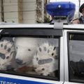 Rusija perkelia sulaikytus „Greenpeace“ aktyvistus iš Murmansko