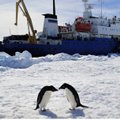 Antarktidoje palikti du ledlaužiai, evakuoti žmonės keliauja toliau