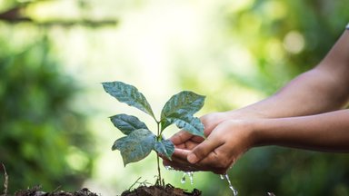 „Nestlé” paskelbė atnaujintą tvarumo veiksmų planą: prisidės prie kavos ūkininkų gyvenimo kokybės
