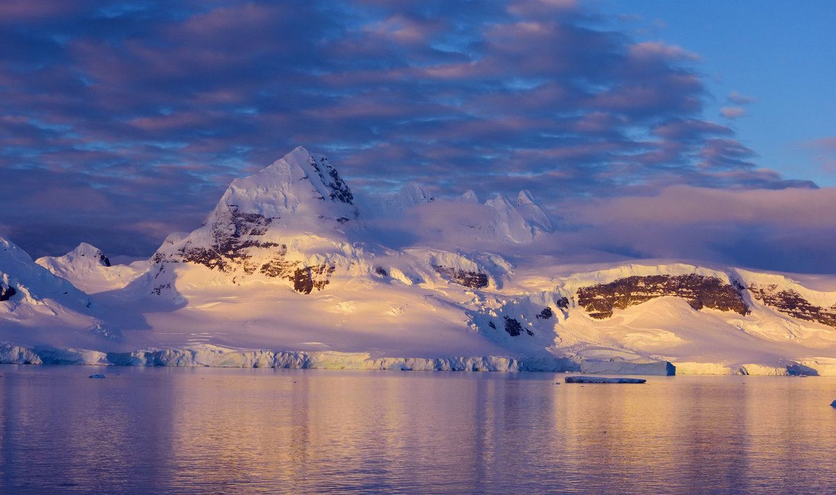 Antarktidos oazės