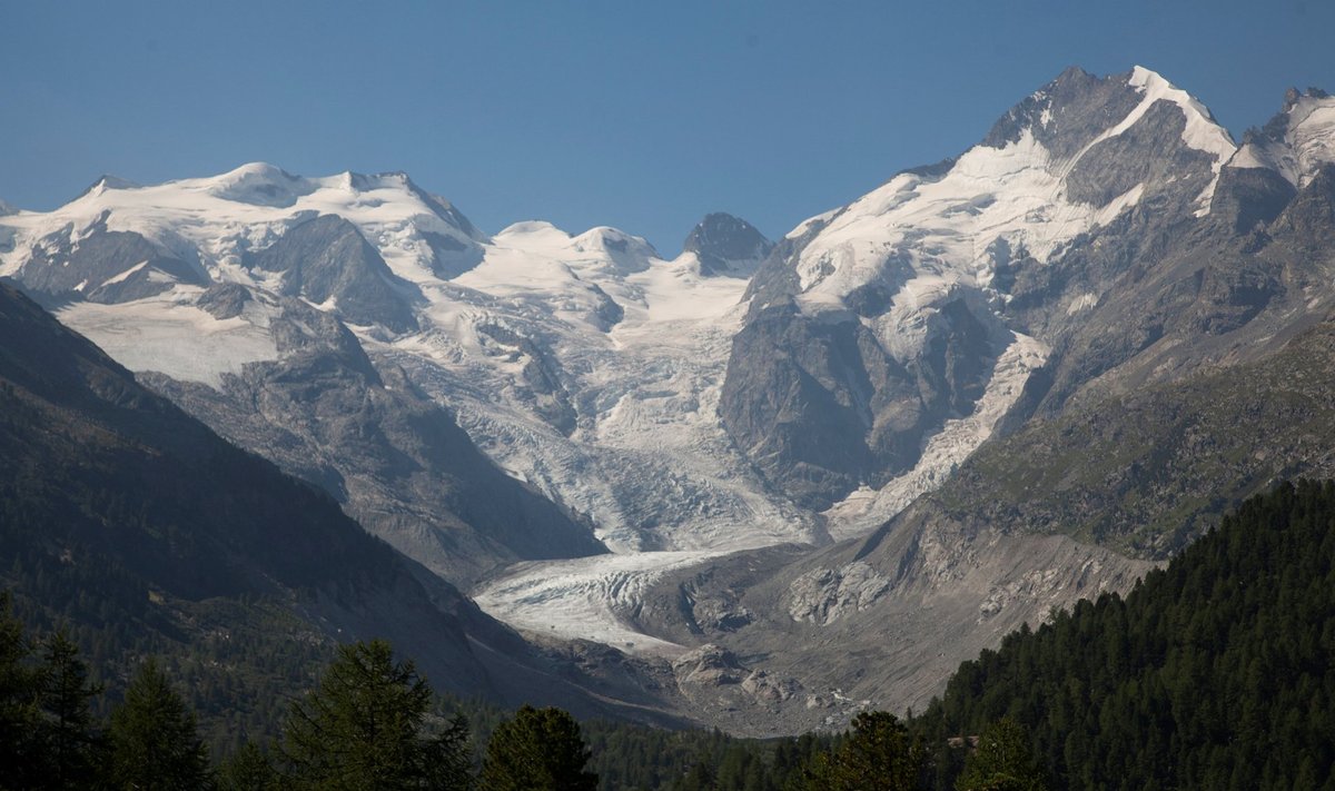 Ledynai Alpėse