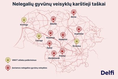 Nelegalios šunų veisyklos