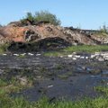 Du studentai pasiryžo pigiai išvalyti užterštas Lietuvos teritorijas