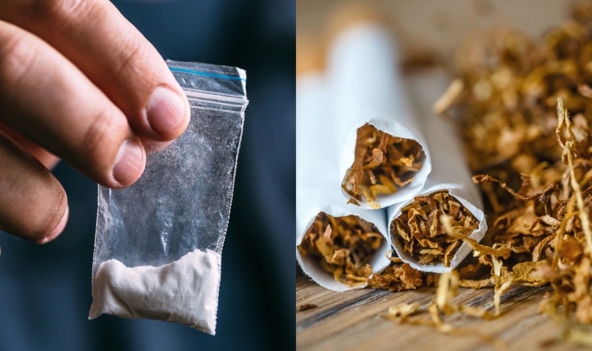 Mokslininkai kokainą išgavo iš modifikuoto tabako. 
