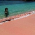 Išskirtinis grožis: nykstantis rožinės spalvos paplūdimys