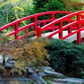 Pagrindinės japoniško sodo kūrimo taisyklės