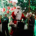 Kalėdų eglutę įžiebs Lietuvos kultūros sostine besirengianti tapti Marijampolė
