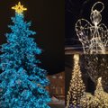 Skuodo gyventojai neišsižada kasmetinių tradicijų – centrinėje miesto aikštėje vėl sutvisko gyva Kalėdų eglė