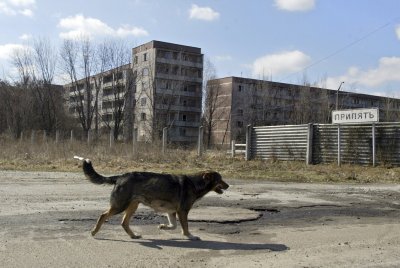 Černobylio evakuacijos zona po avarijos