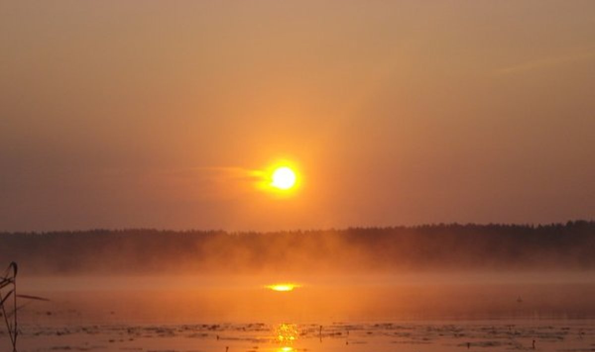 Ankstyvas rytas, Arino ežeras, Molėtų raj.