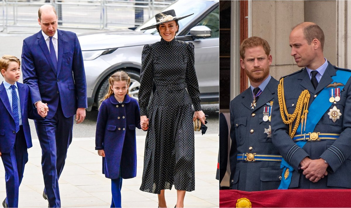 Princo Williamo šeima, princai Harry ir Williamas