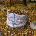 Vilniaus daugiabučių gyventojams dalinami maišai rudeniniams lapams surinkti