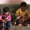 Indų šeimoje vaikai namuose žaidžia su pitonais
