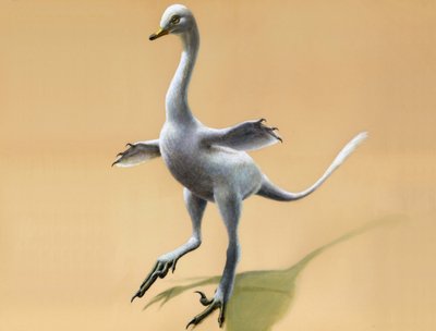 Dinozauras Halszkaraptor escuilliei