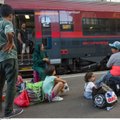 Движение поезда Eurostar было прервано из-за мигрантов на путях