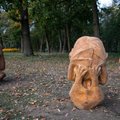 Vilniaus Kūdrų parke – šiuolaikinės skulptūros paroda „Belaukiant“: norinčius ekskursijoje lydės patys autoriai