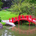 Japoniški sodai: kai kalba akmenys, vanduo ir augalai
