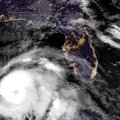 Uraganas „Michael“ sustiprėjo iki 4-os kategorijos audros