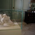 Havanos muziejuje – Napoleono pomirtinė kaukė