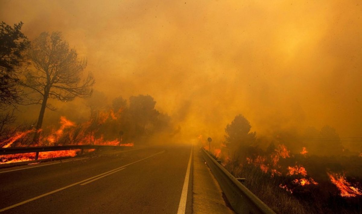 Miškų gaisrai Ispanijoje