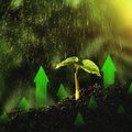 Žalia šviesa inovatyviems bioekonomikos verslams