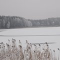 Lietuvoje ledas jau kausto ežerus