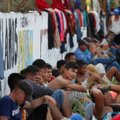 Respublikonų gubernatoriai nugabeno dešimtis nelegalių migrantų į Martos Vynuogyną