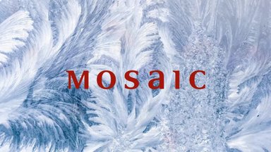 „Mosaic“ 2016 metų rudens - žiemos kolekcija