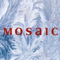 „Mosaic“ 2016 metų rudens - žiemos kolekcija