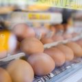 В Литве меняется маркировка куриных яиц