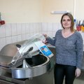 Konservų cechą nusprendė įkurti Lietuvos kaime: darbuotojų rasti sunku, bet plėtros planų neatsisakoma