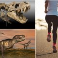 Naujausio tyrimo rezultatai atskleidė netikėtą faktą apie tiranozaurus rex: rado ryšį su žmogumi