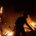 Raudonasis Kryžius perspėja apie miško gaisrų metu sprogstančius šaudmenis