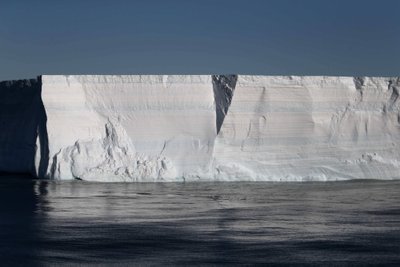 Ledynai Antarktidoje.