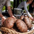 Beloved farmers' markets in Vilnius face stiff competition