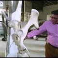 Menininkas iš Pietų Afrikos kuria skulptūras iš kaulų ir žadina žmonių sąmoningumą